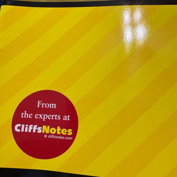 Nicholas Spark Teacher Guides And Cliff Notes For The Notebook/Walk To Remember - Picture 4 of 14